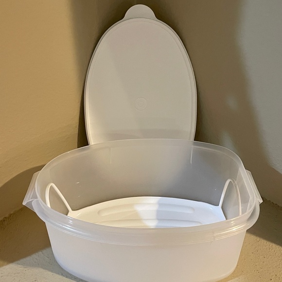 Tupperware Flavor Savor Container - Picture 12 of 12